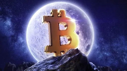 رδǵǮ رռ۸Ԥ2022