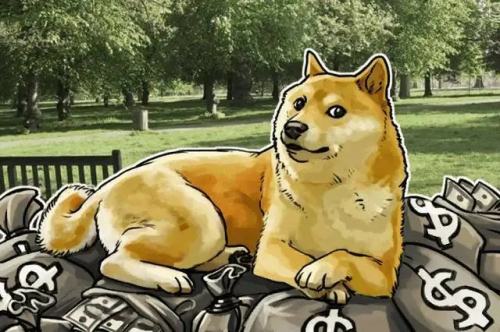 狗狗币可以放入比特派钱包吗 狗狗币可以放在哪个钱包