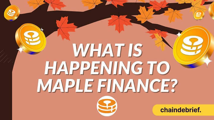 Maple Finance2.0ʲôʱ򷢲?Maple Finance2.0Ĺ