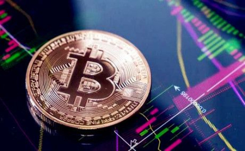 bullish-bullishֻappv1.4.4