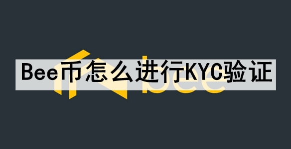 BeeôKYC֤ BeeKYC֤ϸ