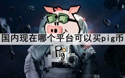 ĸƽ̨pig ʮ֧pigҹĽƽ̨