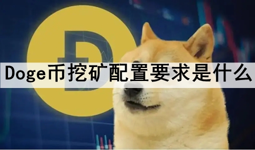 DogeڿҪʲô DogeڿҪһ
