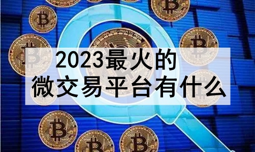 2023΢ƽ̨ʲô ʮŵ΢ƽ̨
