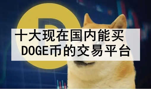 ʮڹDOGEҵĽƽ̨ رҽʱ