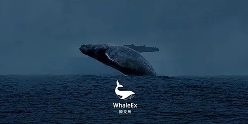 鲸鱼交易所下载地址-鲸鱼交易所下载国际正式版v5.2.5 鲸鱼交易所下载地址-鲸鱼交易所下载国际正式版v5.2.5