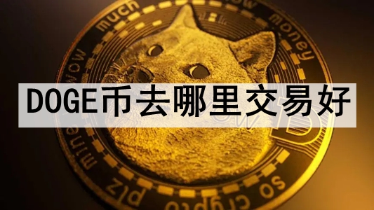 DOGEȥｻ׺ ʮDOGEҽƼ