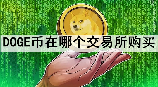 DOGEĸ 2023ʮDOGEҵĽ