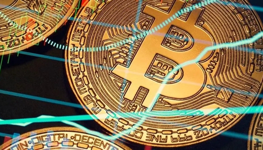 ecoin-ecoinٷv8.4.1