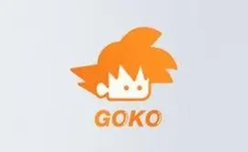 gokoֻ汾ذװ-gokoƶʽv6.2.4