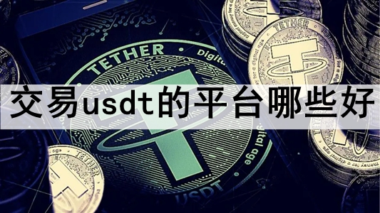 usdtƽ̨Щ ̵ʮõusdtƽ̨
