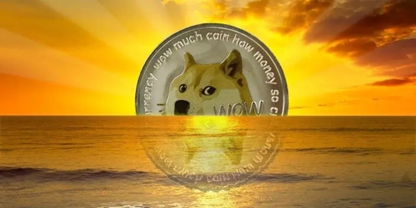 dogeҽȫ°-dogeҽ°׿汾v6.8.3