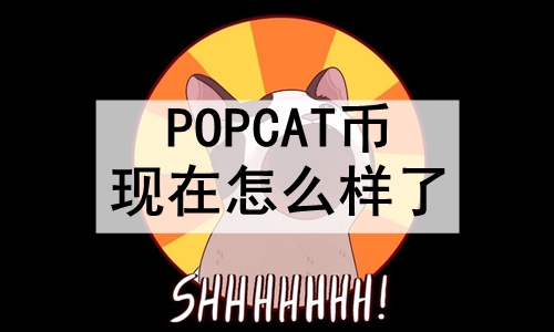 POPCATôˣPOPCAT˶ٱ
