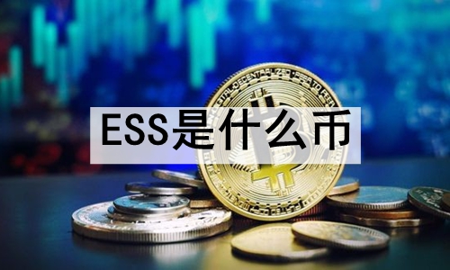 ESSʲôңESSгмֵ