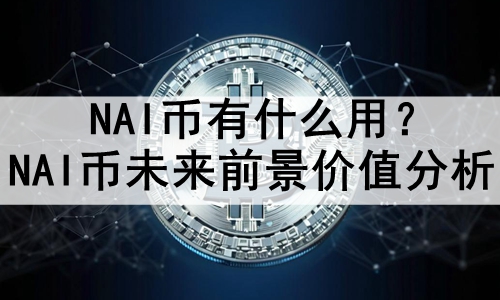 NAIʲôãNAIδǰֵ