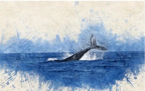 鲸探数字藏品有没有价值 鲸探藏品有升值空间吗 鲸探数字藏品有没有价值 鲸探藏品有升值空间吗