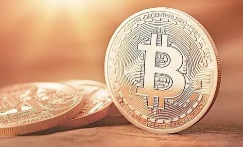 leash币现在还能入吗 leash币的未来价值 leash币现在还能入吗 leash币的未来价值