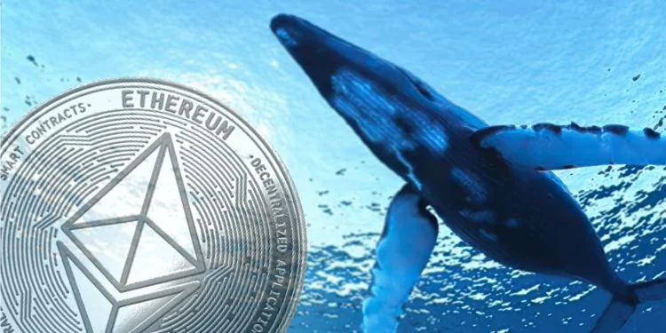 2巨鲸跟卖1.9万枚ETH,加密货币市场还有未来吗? 2巨鲸跟卖1.9万枚ETH,加密货币市场还有未来吗?