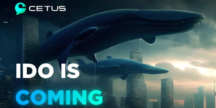 Sui��̬Cetus����Launchpad��ļ66����Binance�Ұ�SUI����껯��-327%