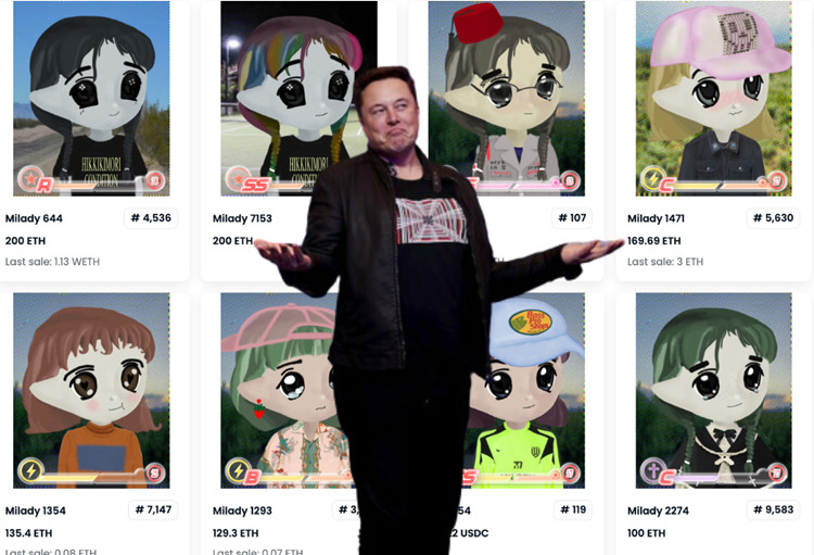 Milady���󣡼�PEPE֮�� ͬλ���ڽ������ֱ�LADYS�Һ�����