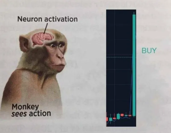 莱特币减半等于利好?一定上涨?推特名人Alex:不一定 莱特币减半等于利好?一定上涨?推特名人Alex:不一定