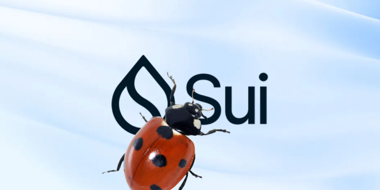 ��ƹ�˾Zellic����SUI�������޸�ʮ����Ԫ©�� ���úڿ����������