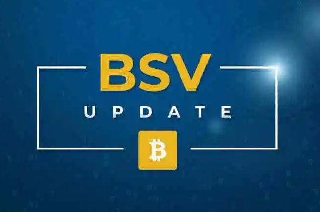 BSV什么币 bsv币是什么币种 BSV什么币 bsv币是什么币种