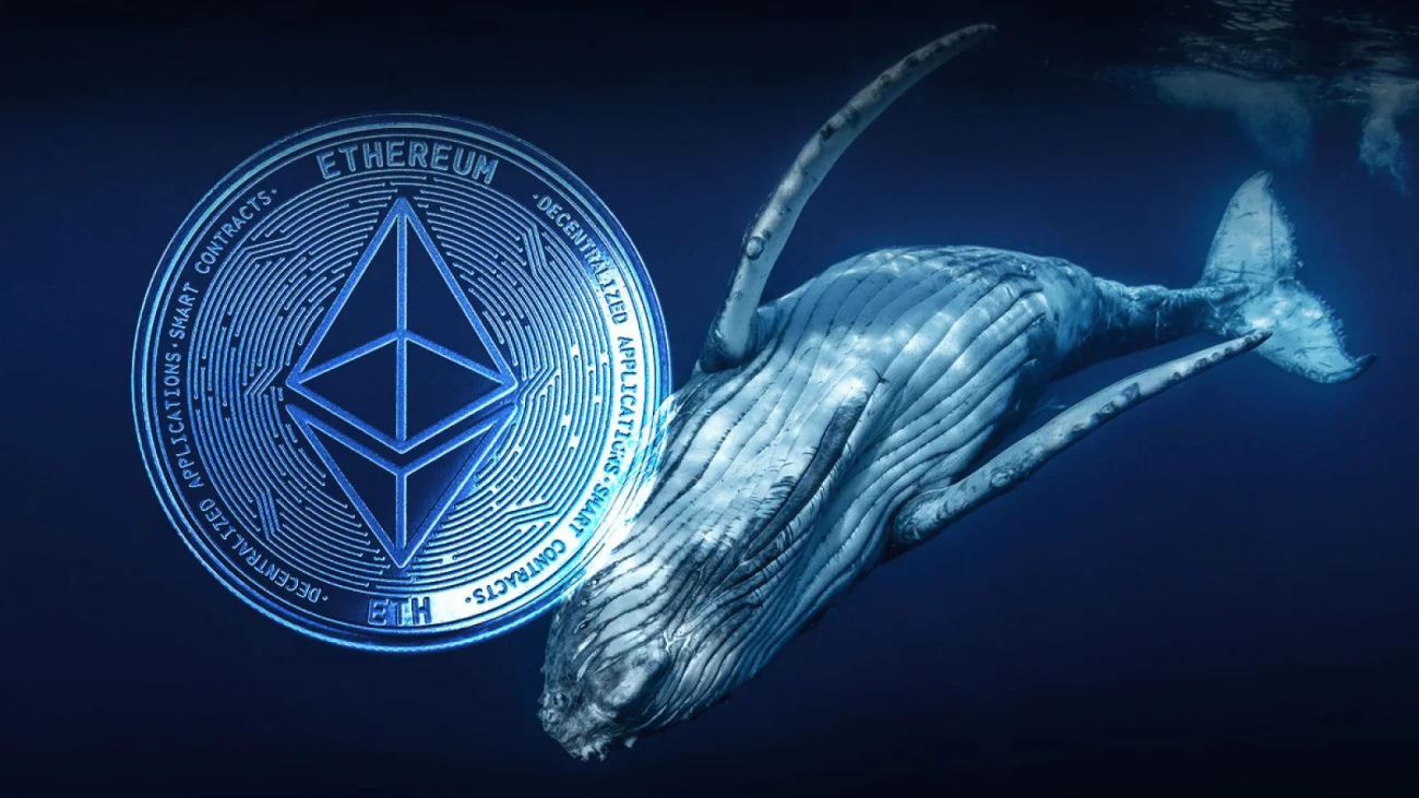 ��˯8��ľ޾�Ǯ������8ǧö��̫��������ֵ������5ǧ��