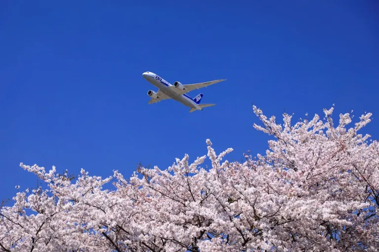 日本航空全日空(ANA)推出NFT市场 可链接Metamask后用ETH付款 日本航空全日空(ANA)推出NFT市场 可链接Metamask后用ETH付款