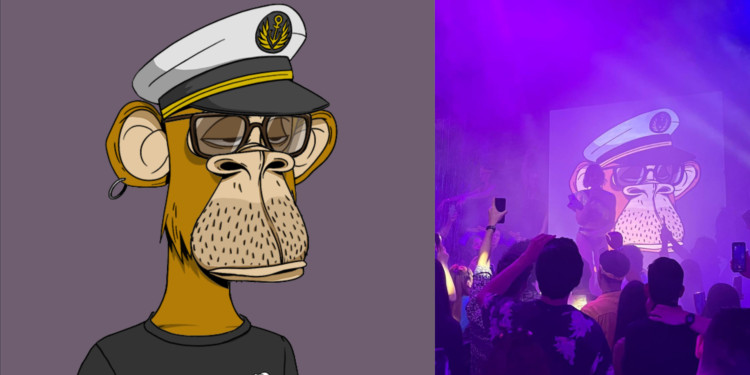 ����ԳBAYC#2758�����ݺ������Ӱ��н�ʱ���������Ա