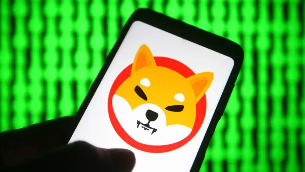 Ͷ��Meme�����׬Ǯ�����ݣ��󲿷�SHIB��FLOKIͶ���߿���