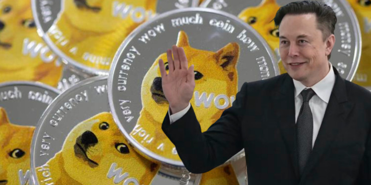 ��˹�˷���֧�ֹ����� DOGEһ�ȷ�����10%