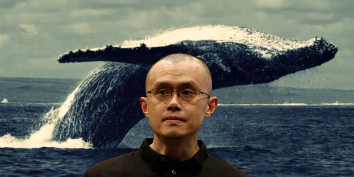 SEC����Binance�Ұ��󣡴���USDC���뽻���� �������޾��ʹ���Ǯ����