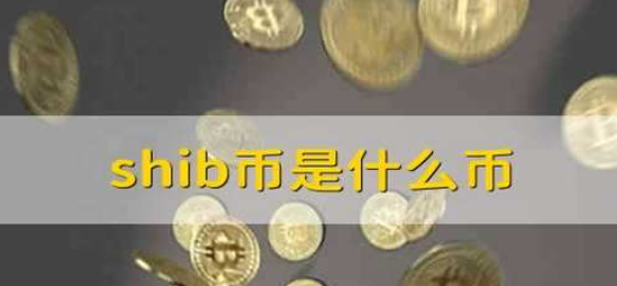 SHIB是什么币 虚拟货币SHIB有什么用 SHIB是什么币 虚拟货币SHIB有什么用