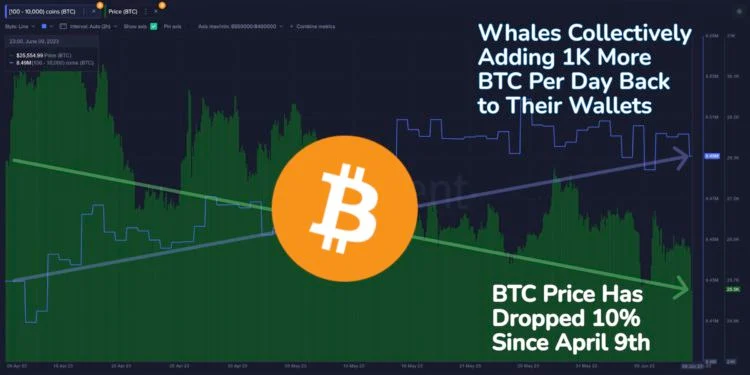 ţнرҾ޾η̡ÿ1000öBTC