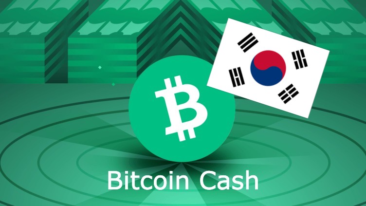 رֽ300ԪUpbitBCH/KRW4.8