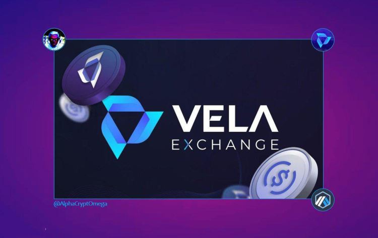 VELAʲô֣VELAֵͶ