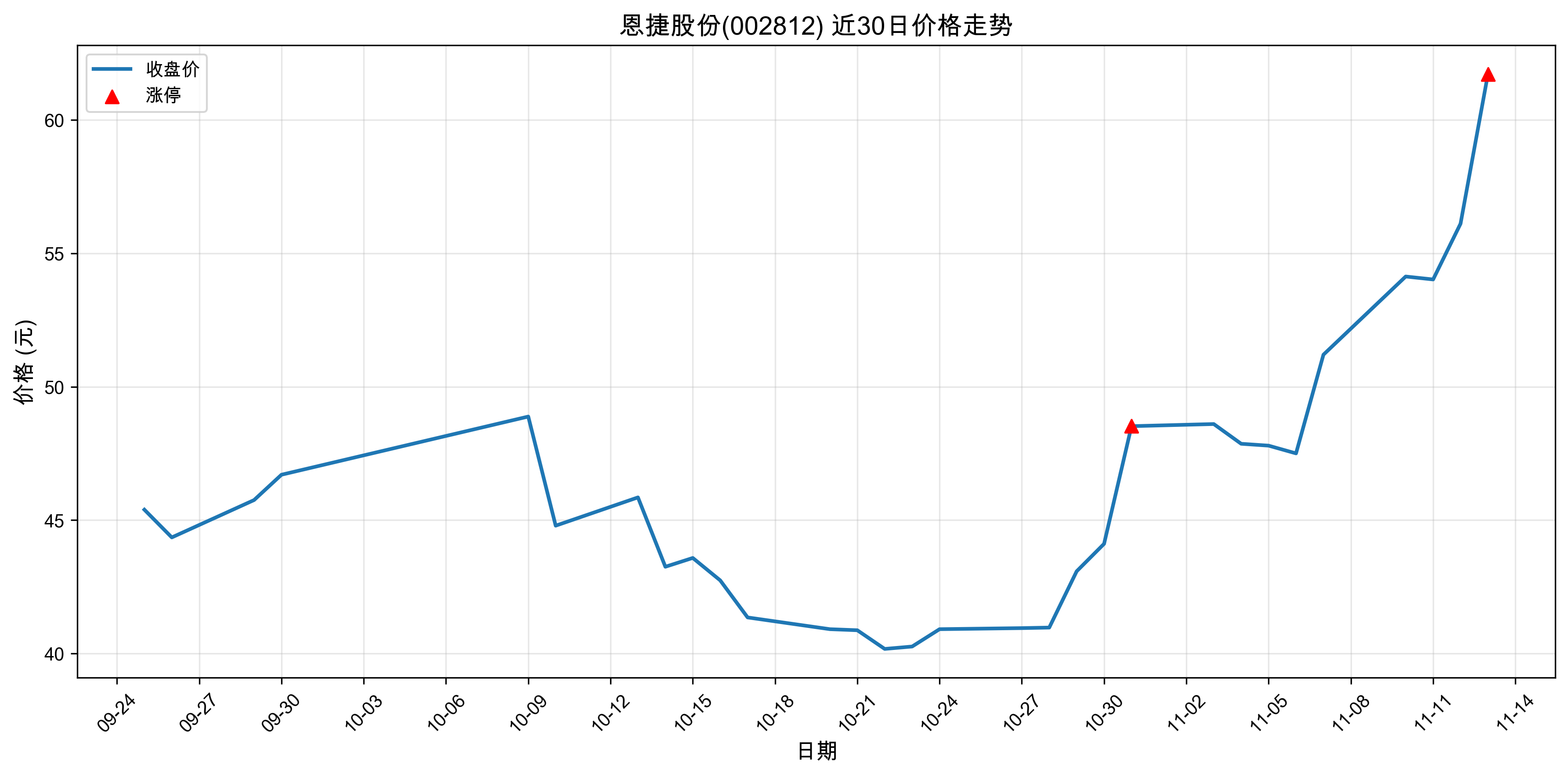 ���ݹɷ�002812������ͣԭ�򣺹�̬���+﮵��+����Դ������2025��11��13�գ�