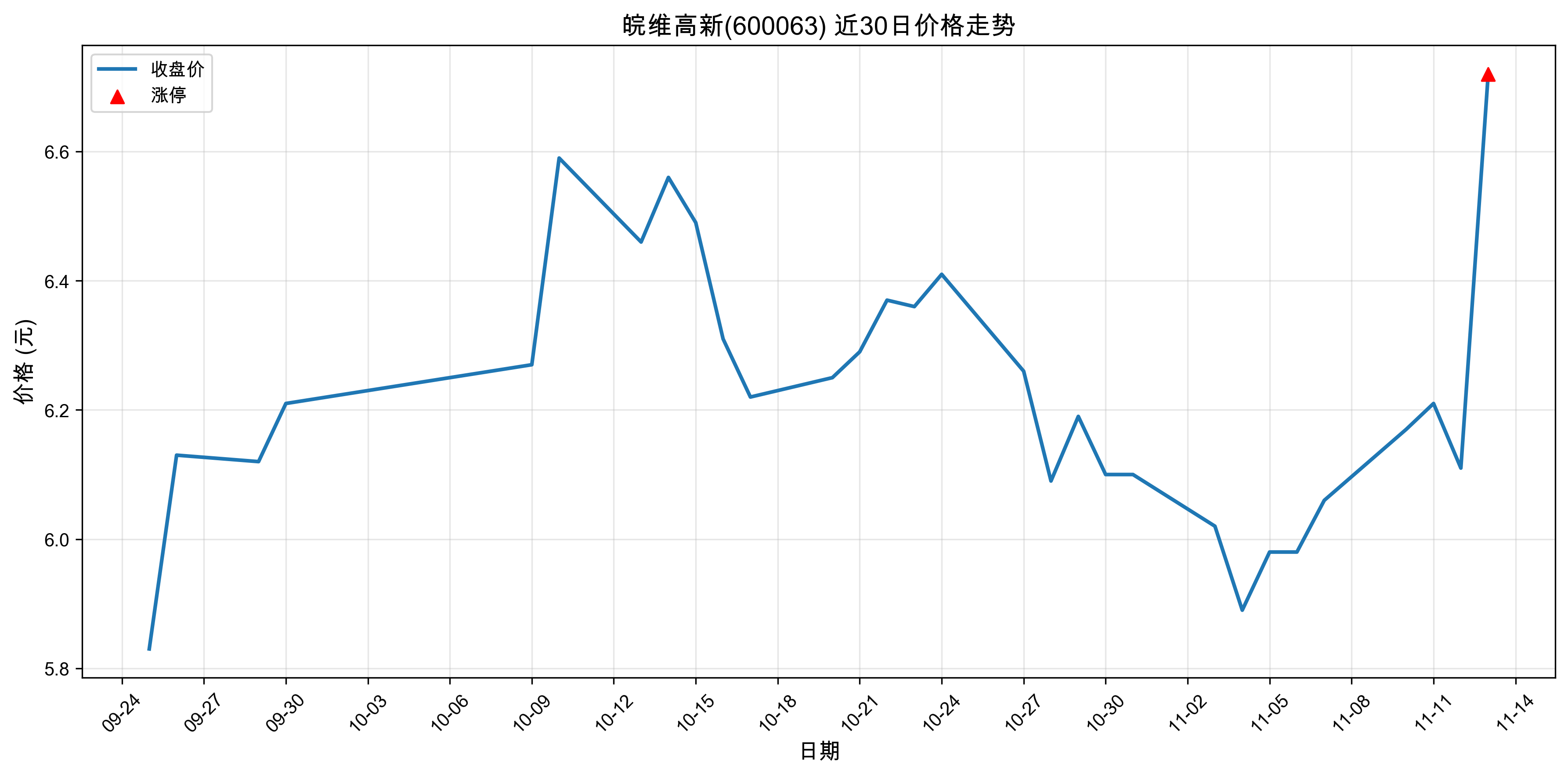 ��ά����600063������ͣԭ���˹����ܣ�2025��11��13�գ�