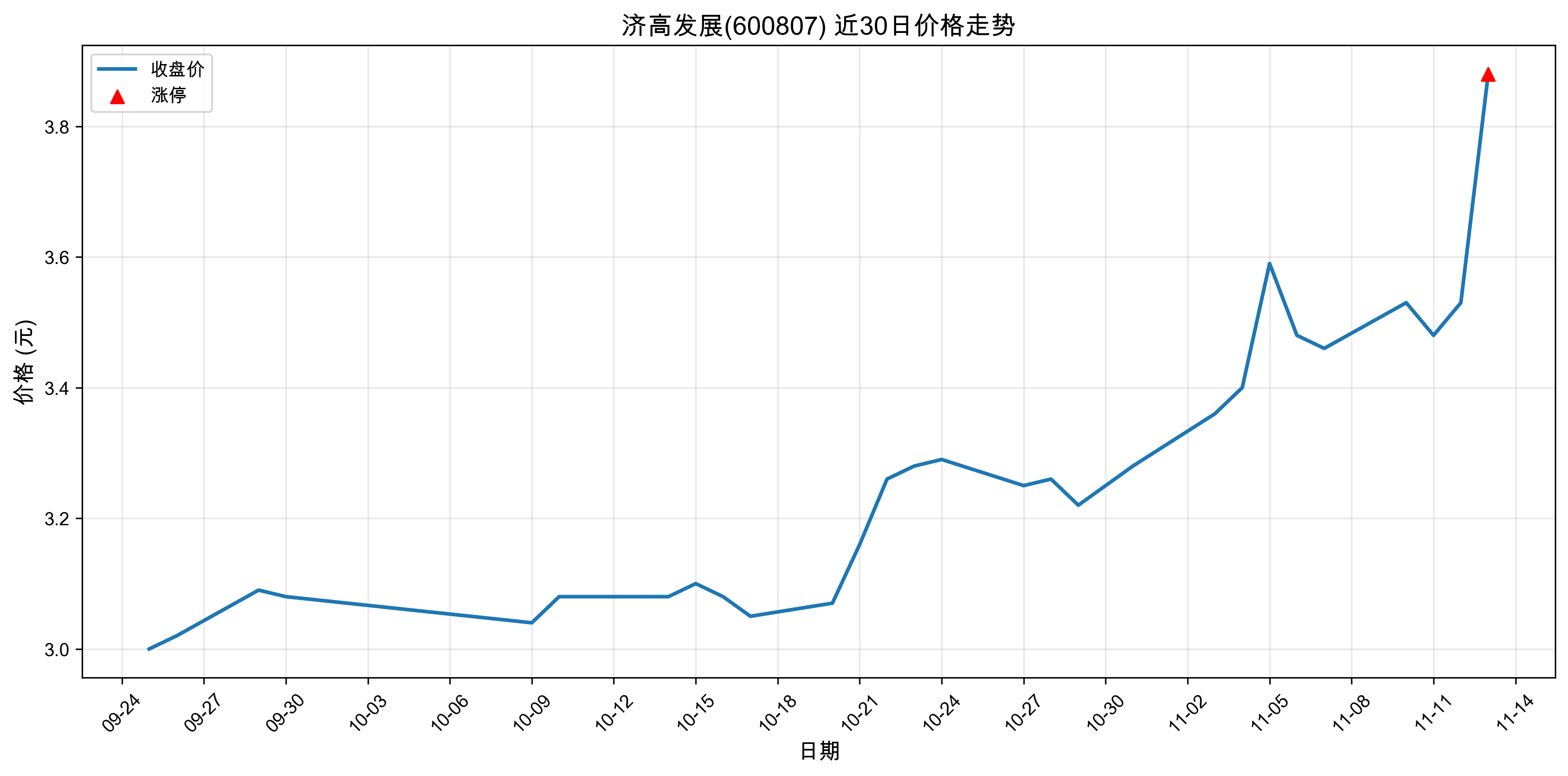 �ø߷�չ600807������ͣԭ���˹����ܣ�2025��11��13�գ�