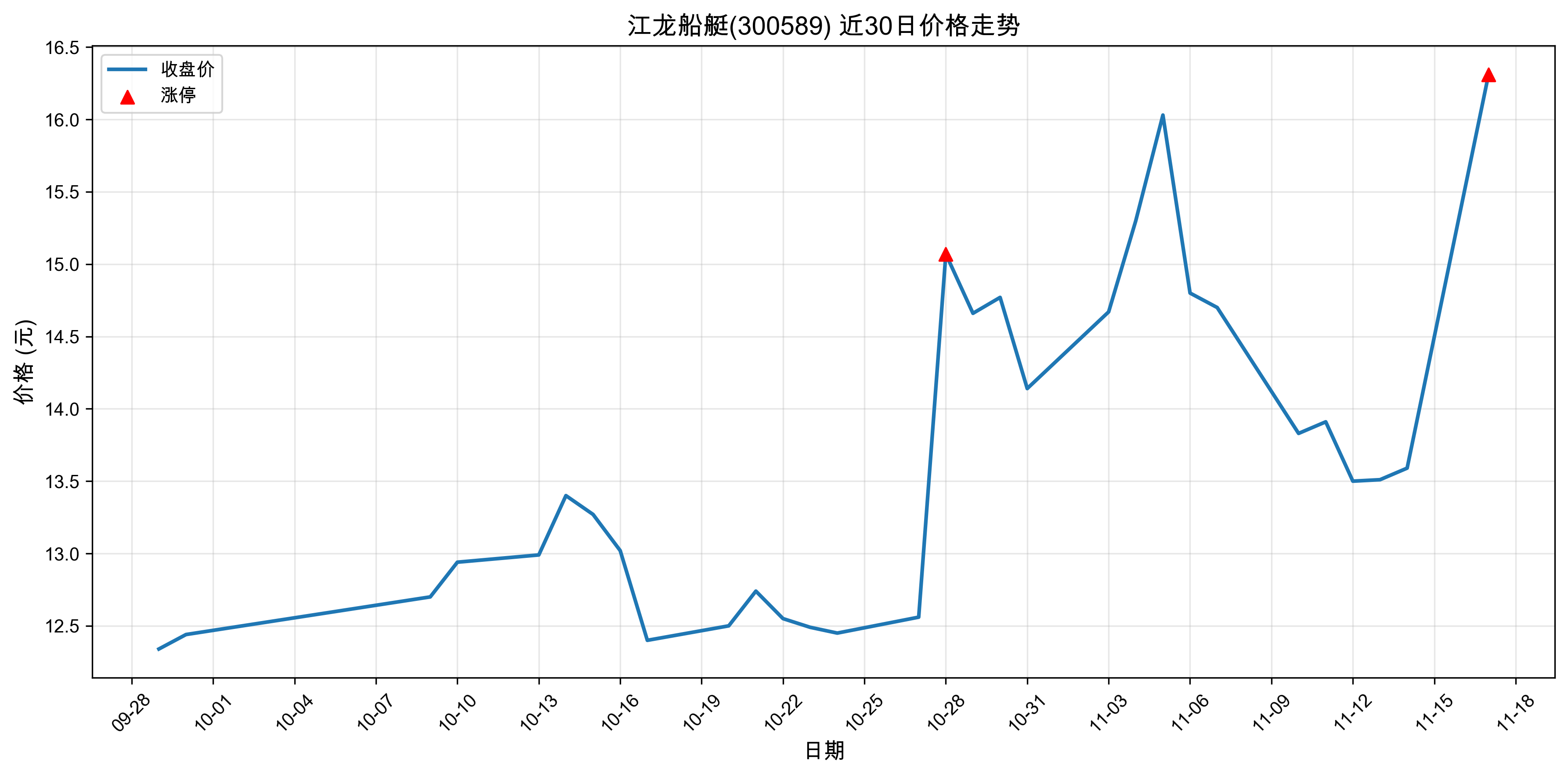 ������ͧ300589������ͣԭ���˹����ܣ�2025��11��17�գ�