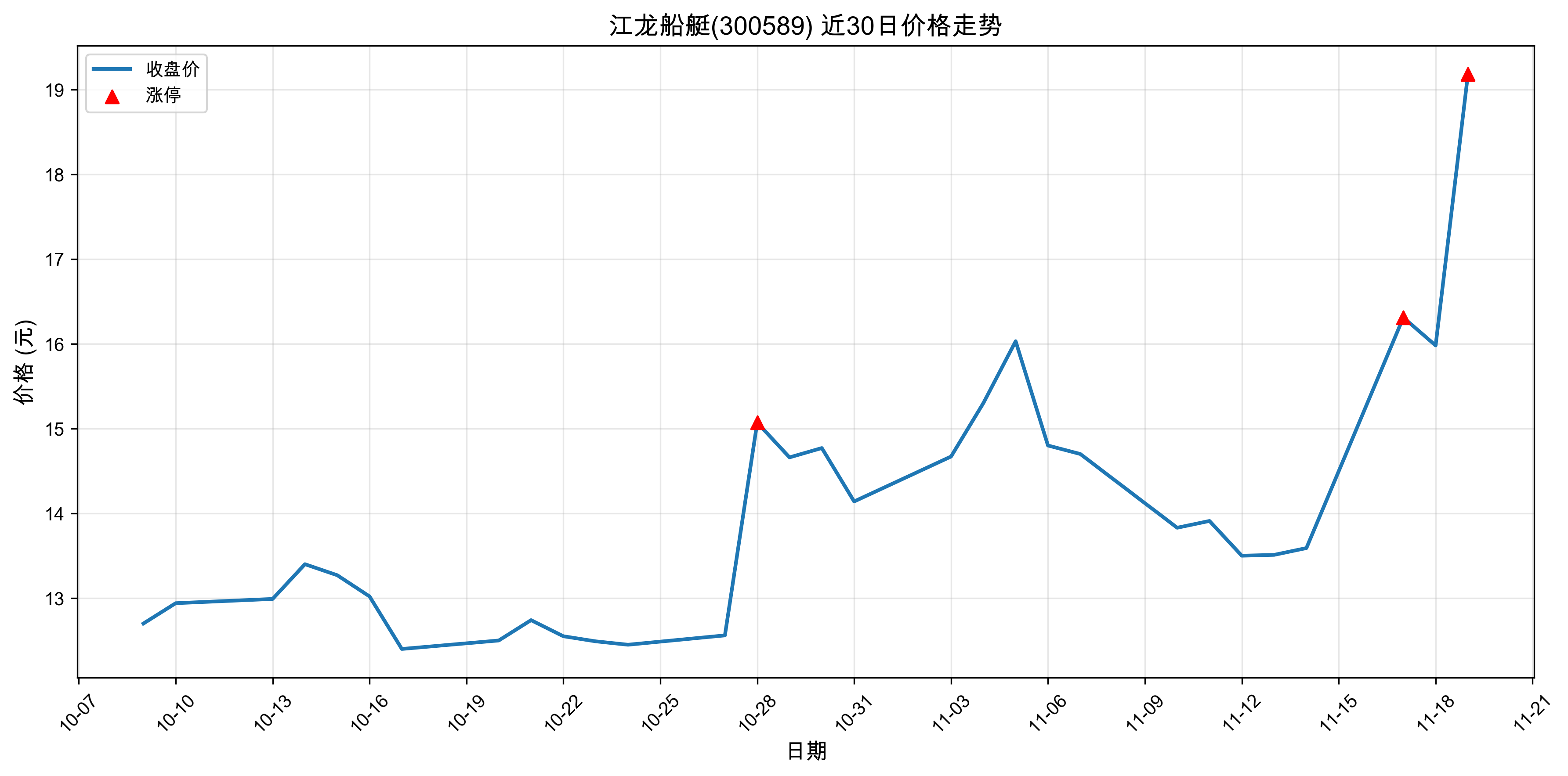 ������ͧ300589������ͣԭ���˹����ܣ�2025��11��19�գ�